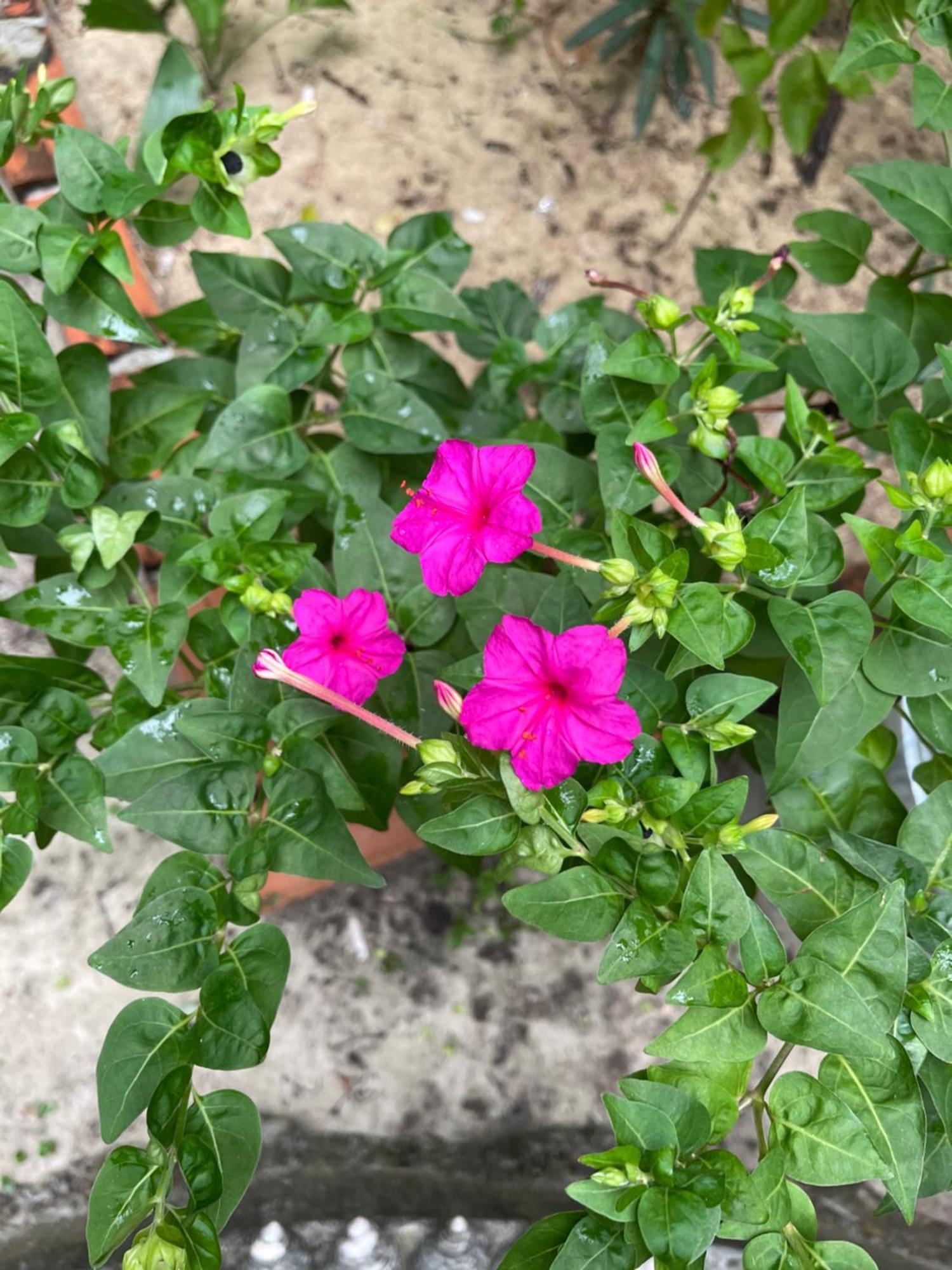 Kaoh Touch Villa Koh Rong מראה חיצוני תמונה